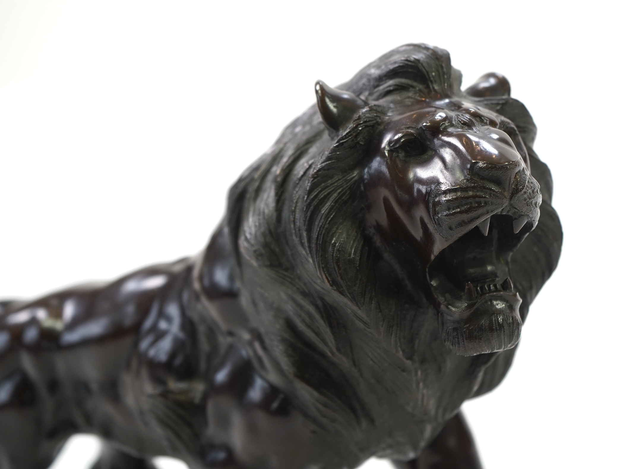 A Japanese patinated bronze okimono of a roaring lion, Meiji period